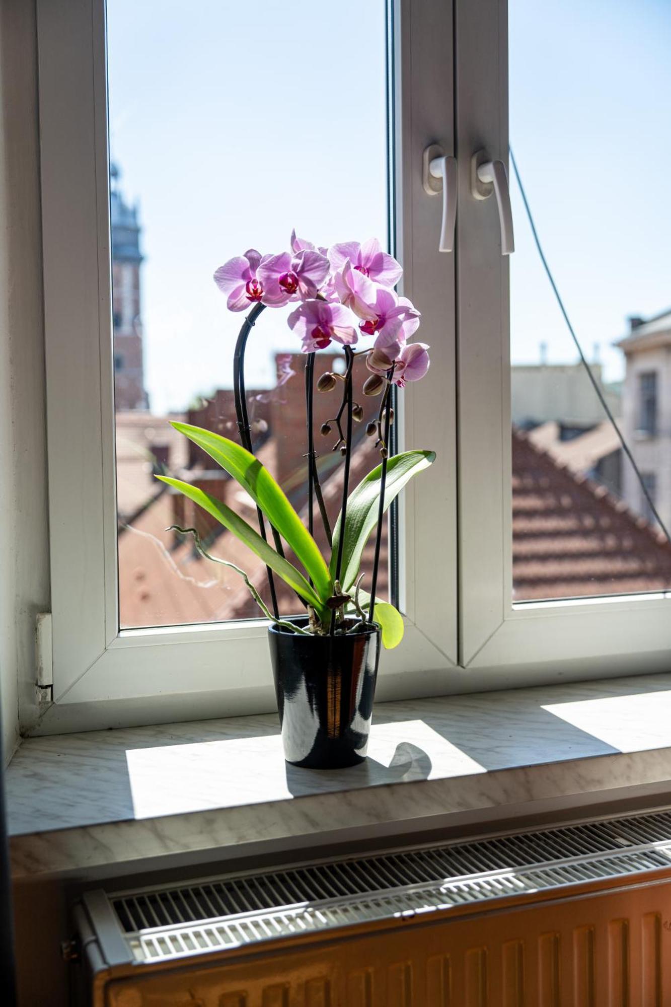 Vista View Apartment Krasków Εξωτερικό φωτογραφία